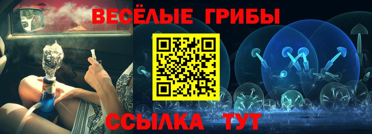 Псилоцибиновые грибы ЛСД  Вход с VPN  Железноводск 